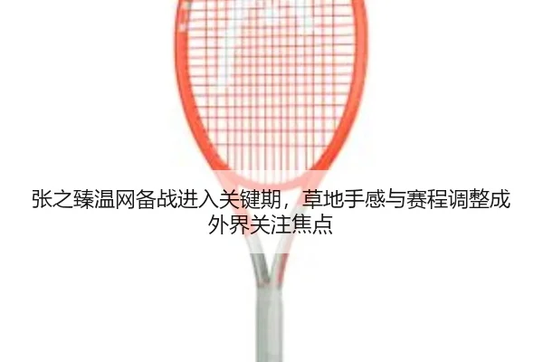 张之臻温网备战进入关键期，草地手感与赛程调整成外界关注焦点